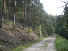 wege1051